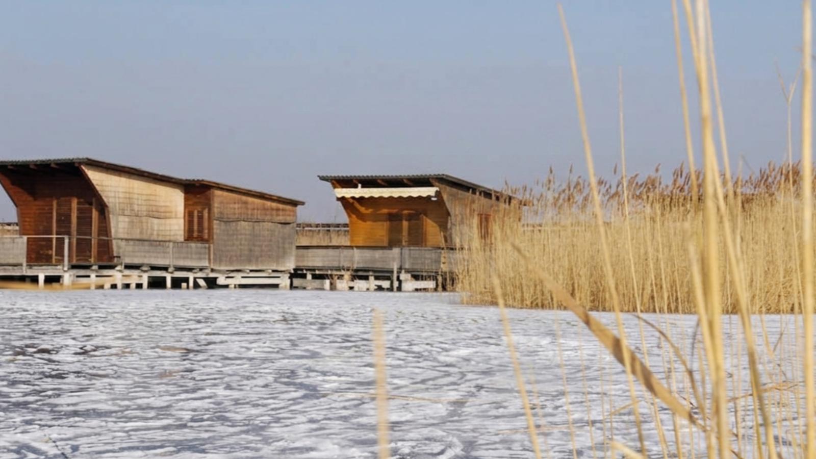 Guesthouse Spa Seeblick - Gebied winter 5km