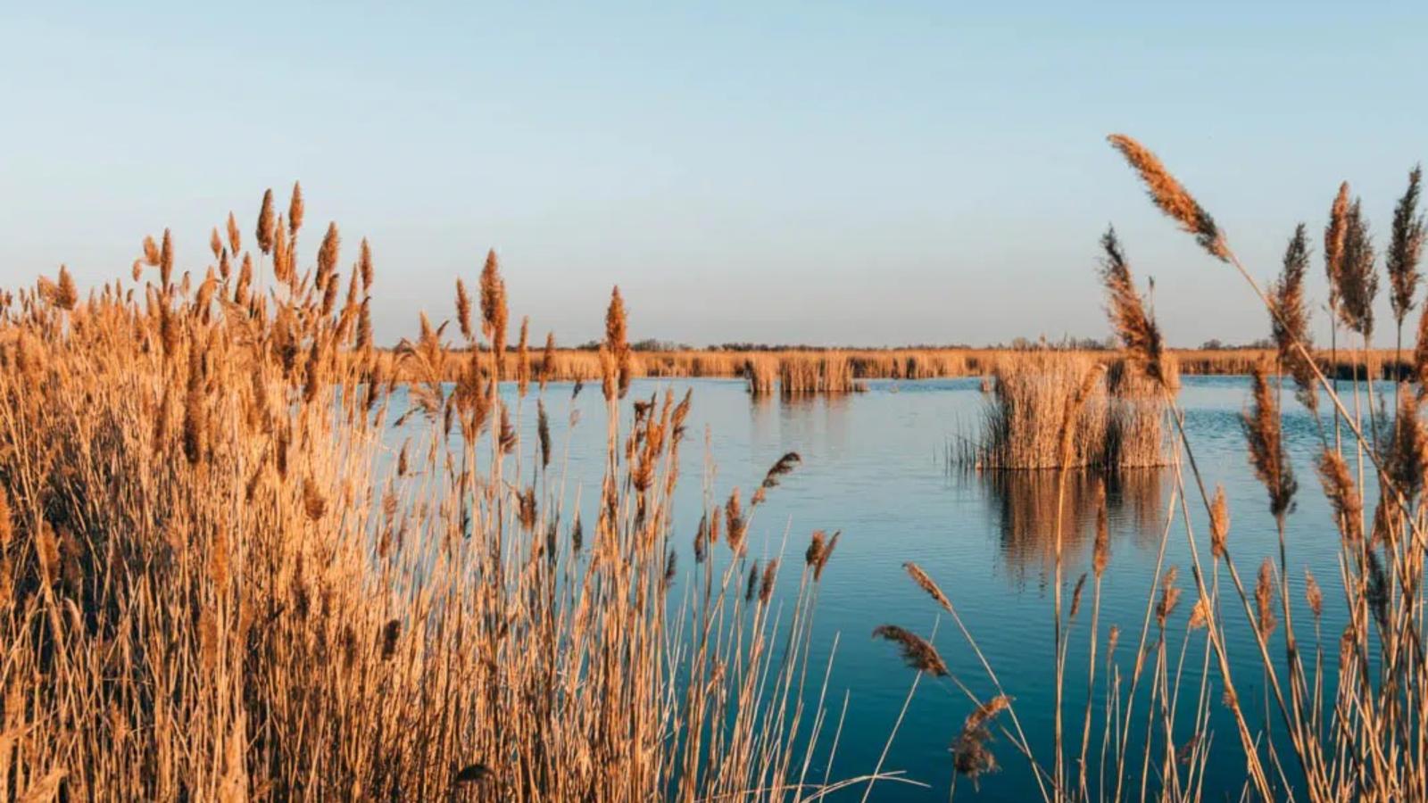 Guesthouse Spa Seeblick-Gebieden zomer 5km