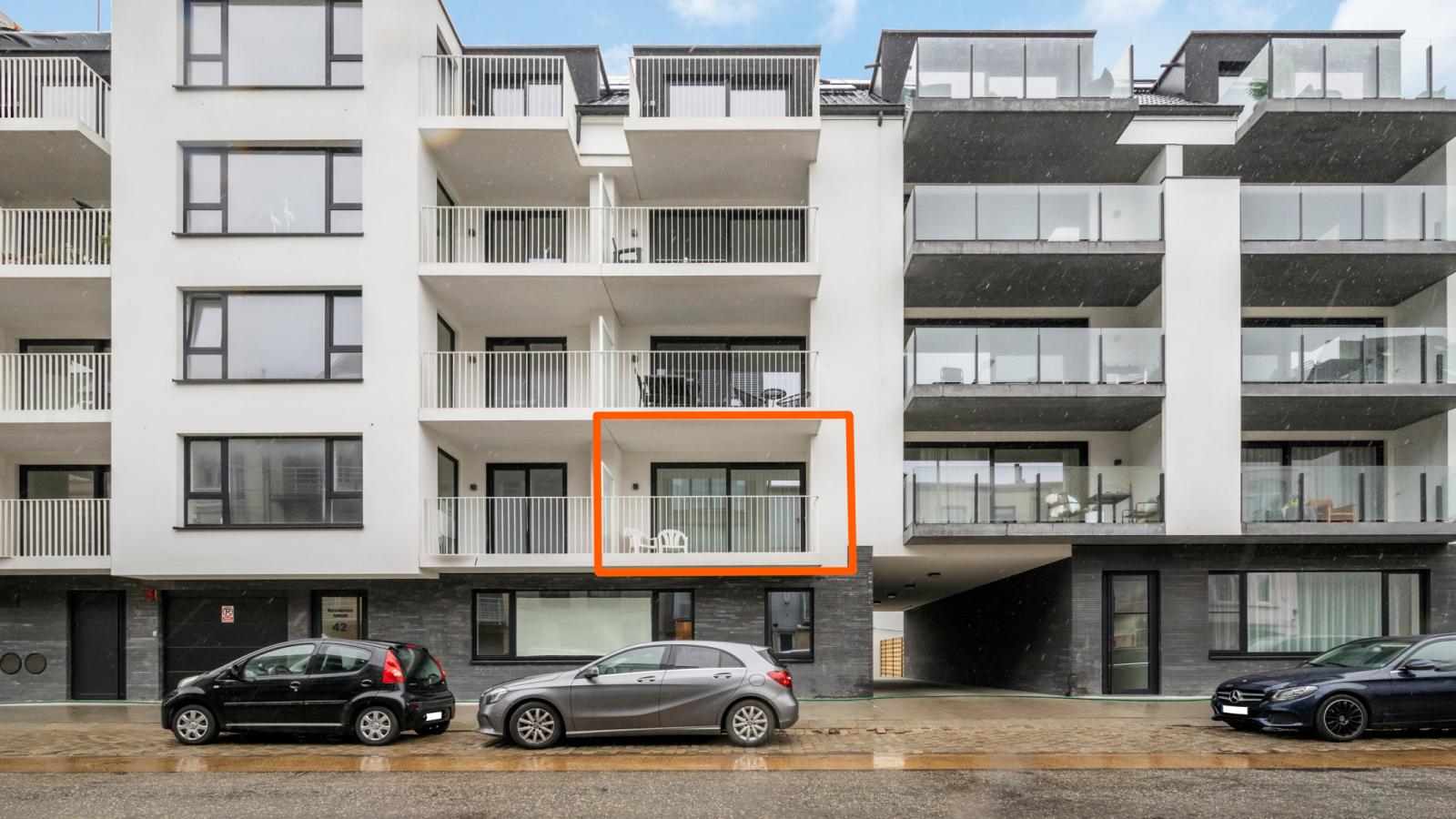 Swan - 0103-Im Freien