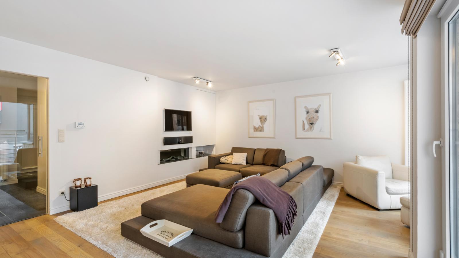 Jacob Van Maerlant - V1