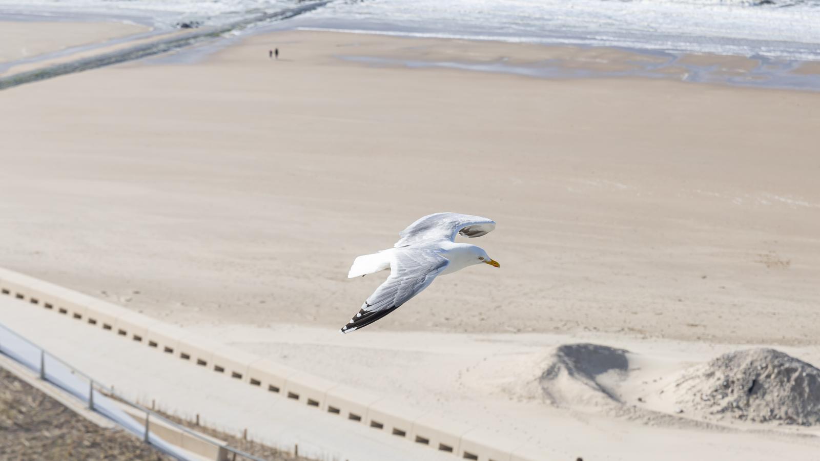 Stella - 0701 -Extérieur