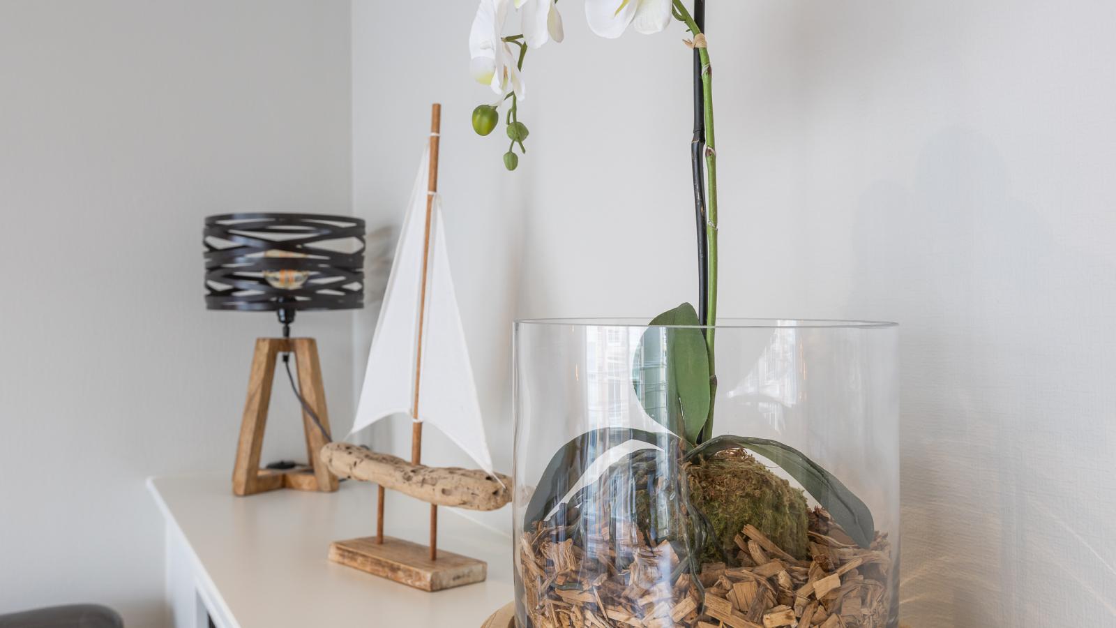 Vandenheuvel - 0406-Intérieur