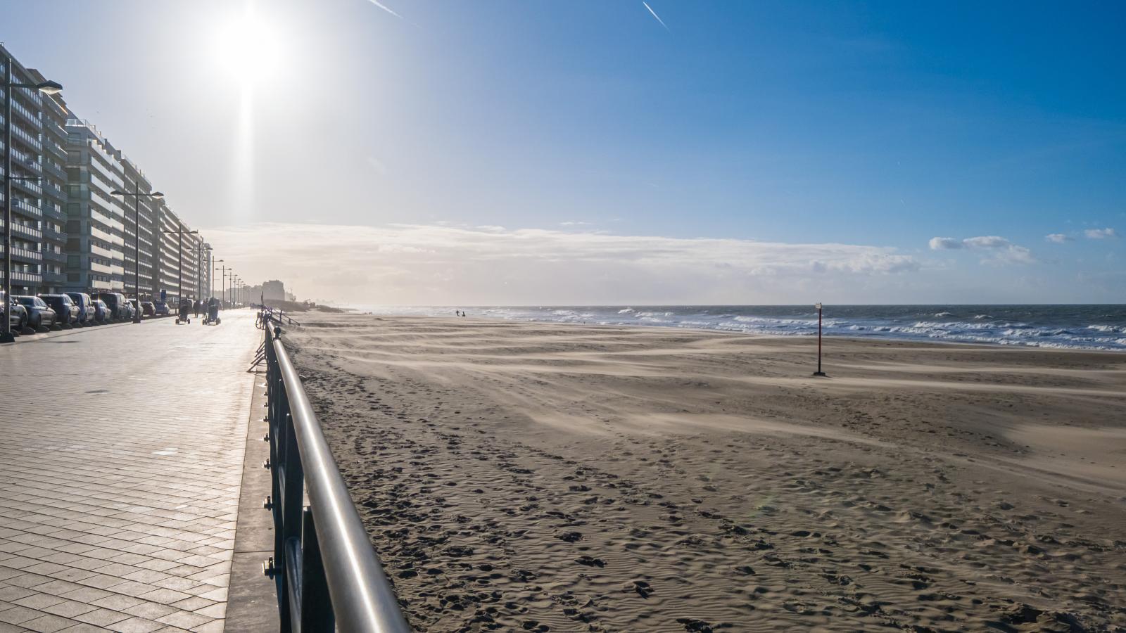 Brisbane II - 0202 + parking 35 (Zeegalm)-Im Freien