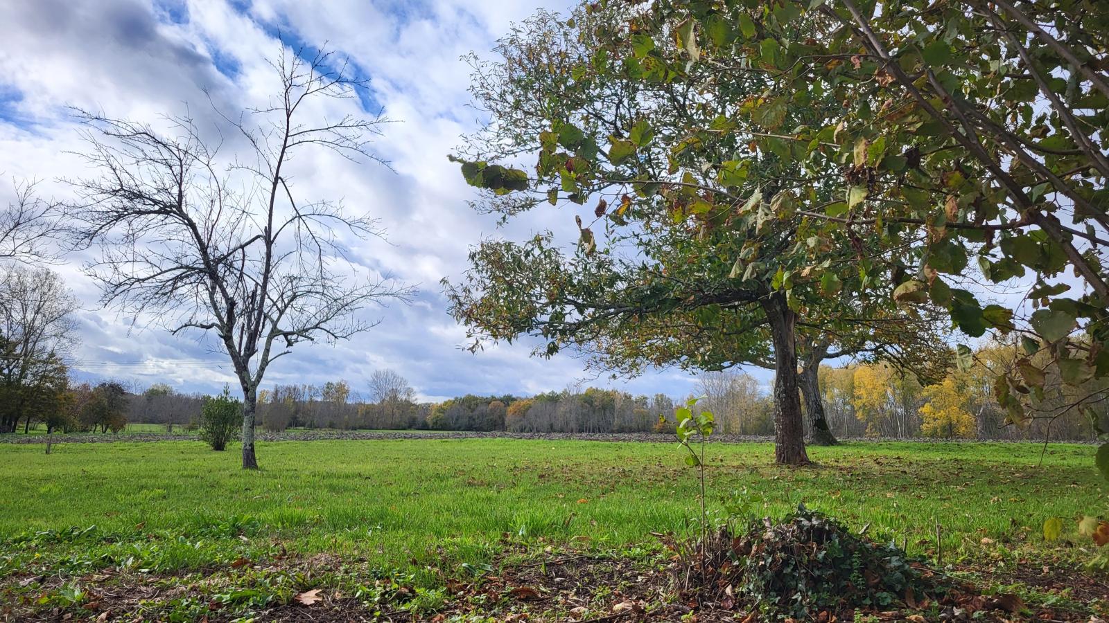 Maison des Prairies-Gardens in summer
