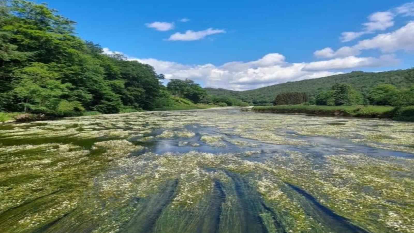 Léora Cosy-Areas within 1km in summer