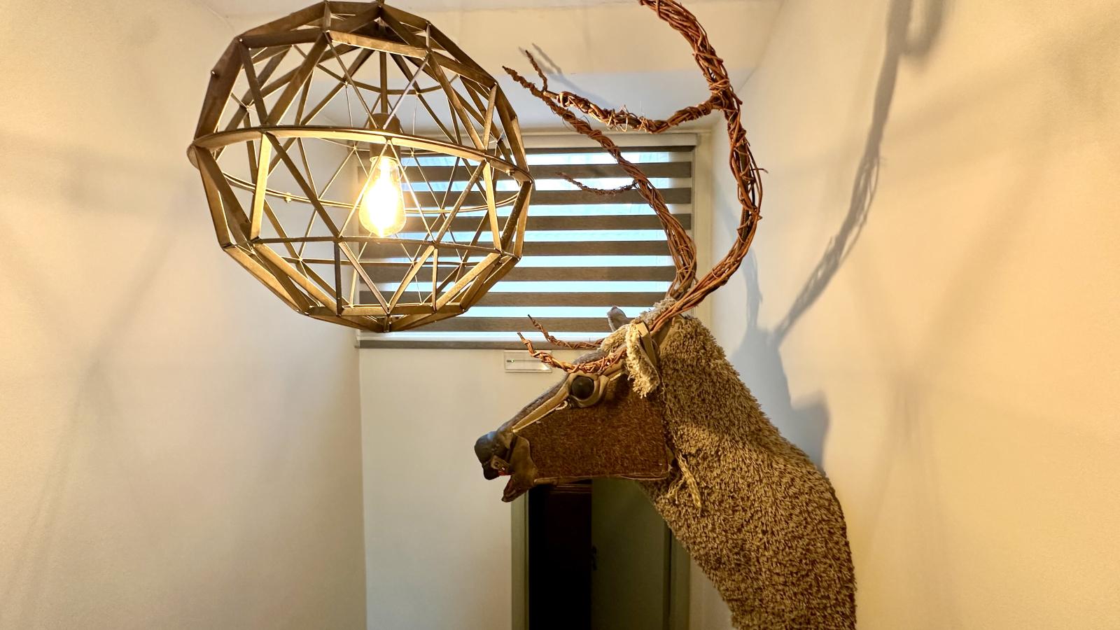 Léora Cosy-Ambiance