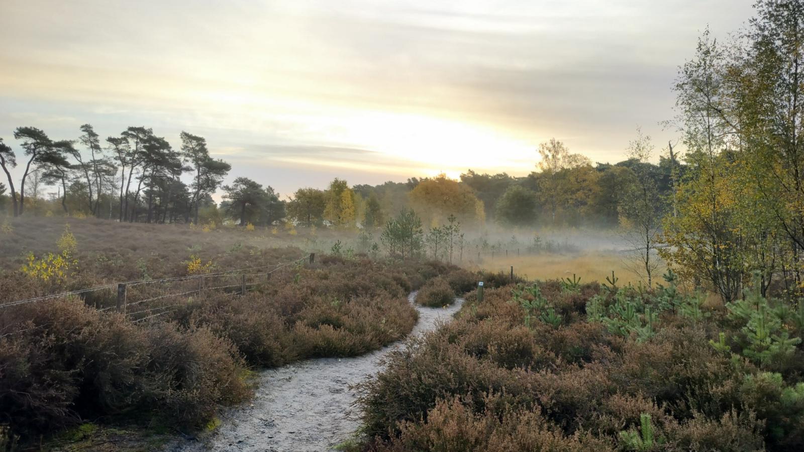 Lierelodge-Gebieden zomer 1km