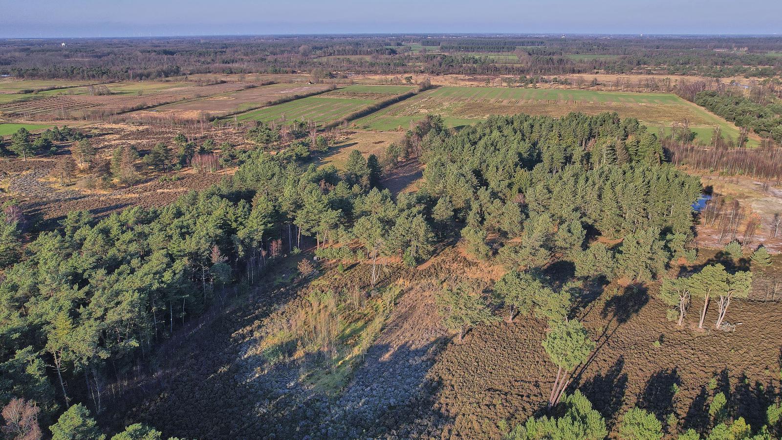 Lierelodge-Gebieden zomer 5km