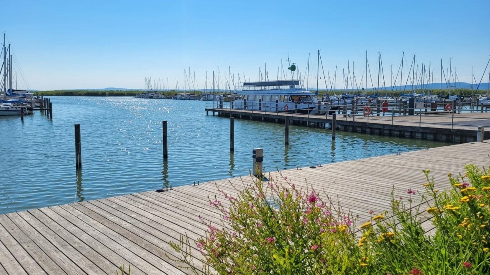 Guesthouse Seeblick - Gebieden zomer 1km