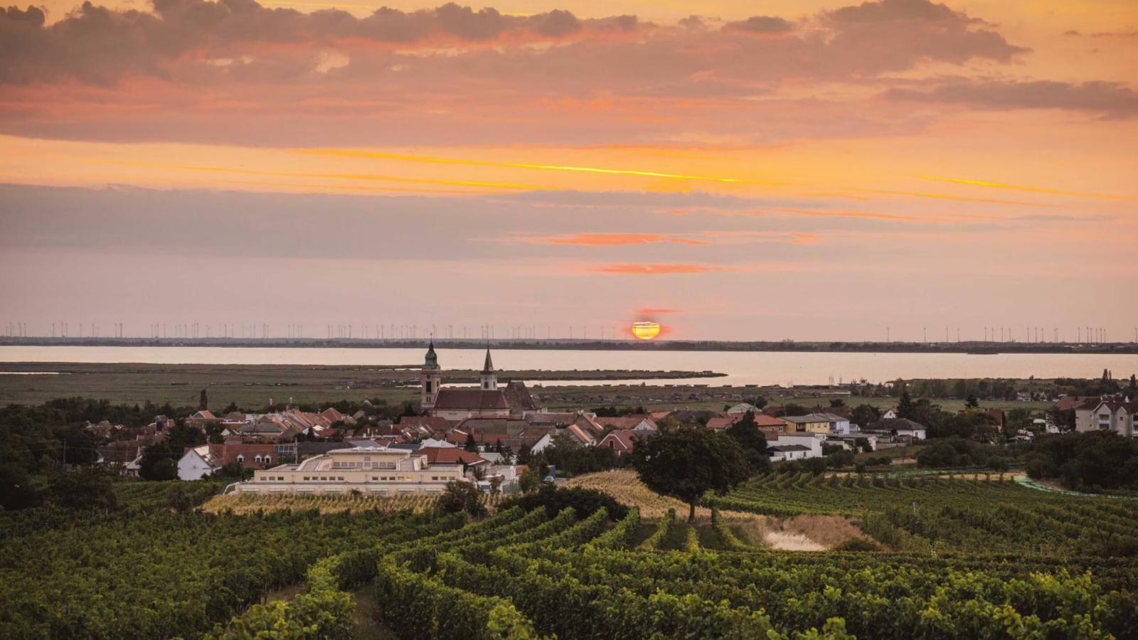 Guesthouse Seeblick - Gebieden zomer 20km