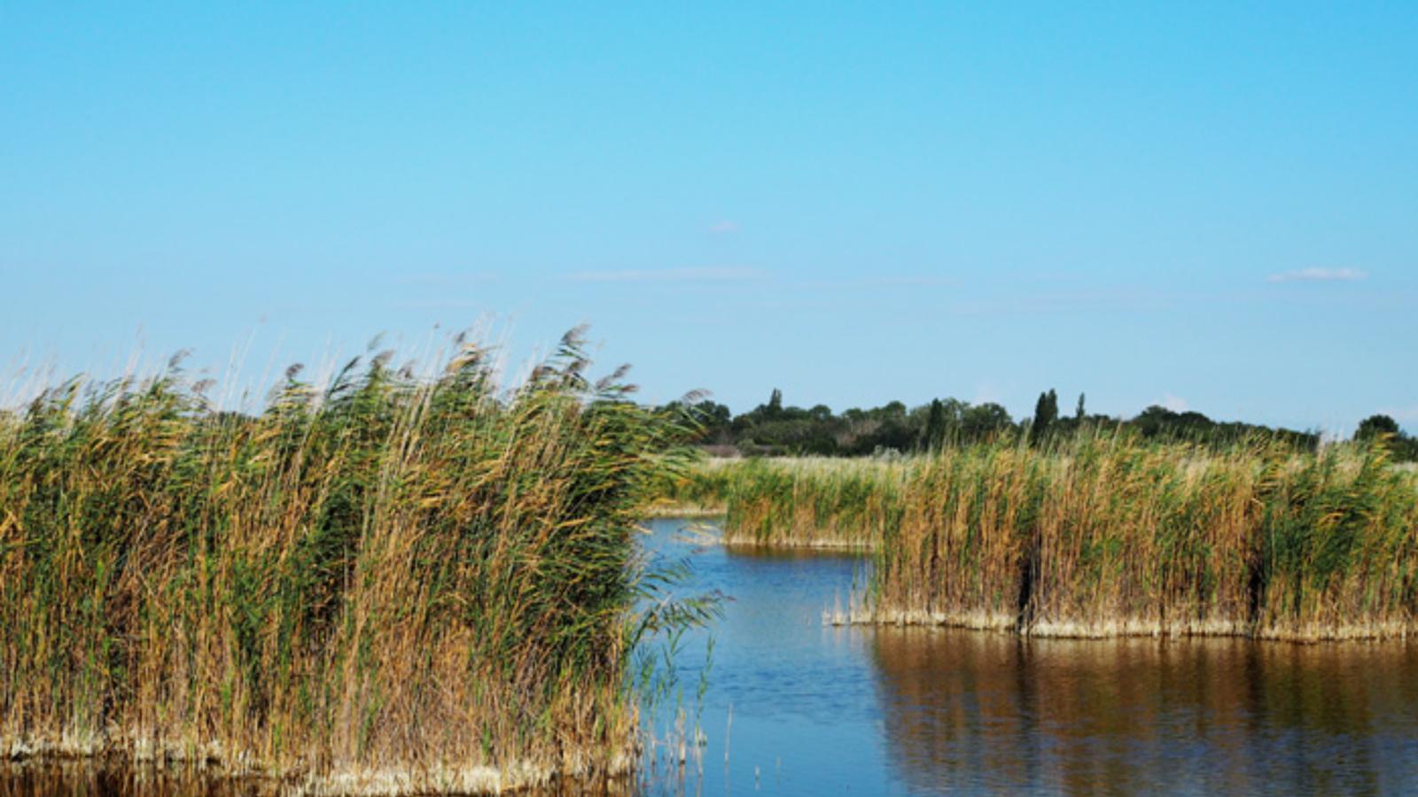 Guesthouse Seeblick - Gebieden zomer 5km