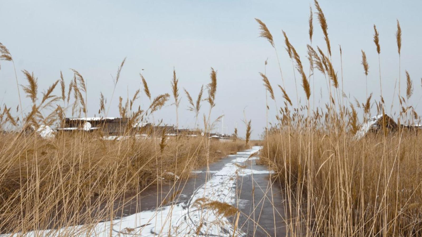 Guesthouse Spa Leithagebirge - Gebied winter 20km