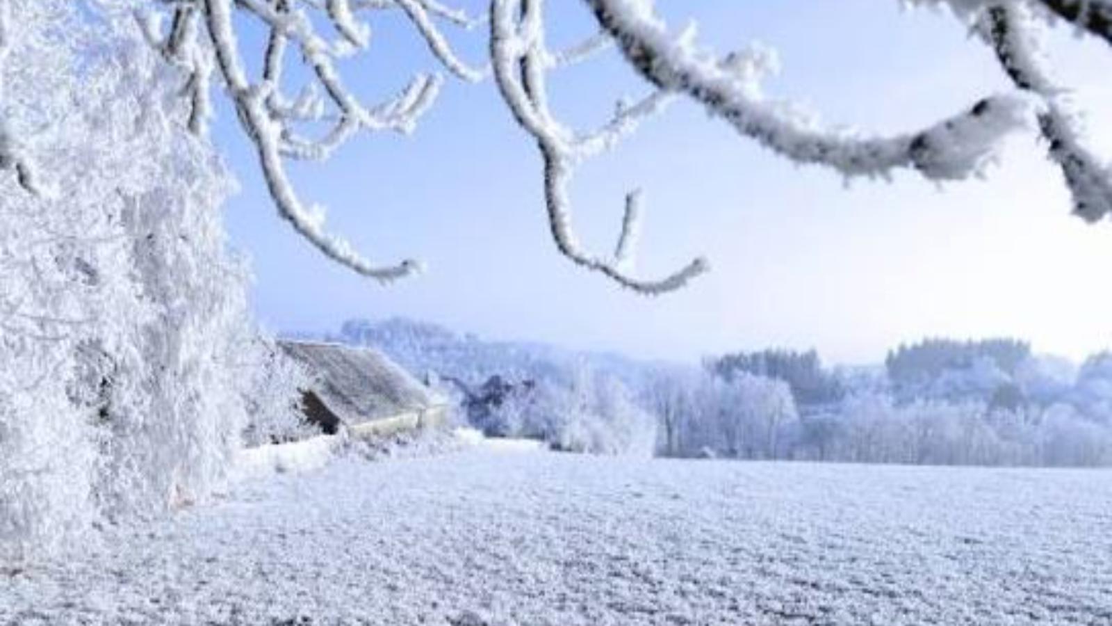 Guesthouse Spa Leithagebirge - Gebied winter 20km