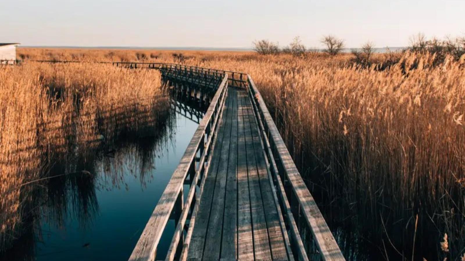 Guesthouse Naturgarten-Gebieden zomer 5km