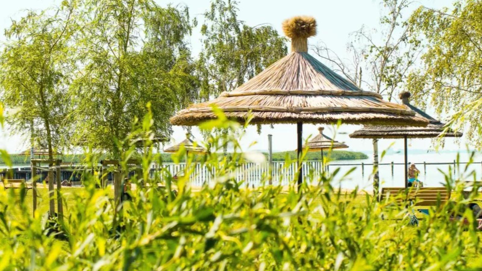 Guesthouse Naturgarten-Gebieden zomer 5km