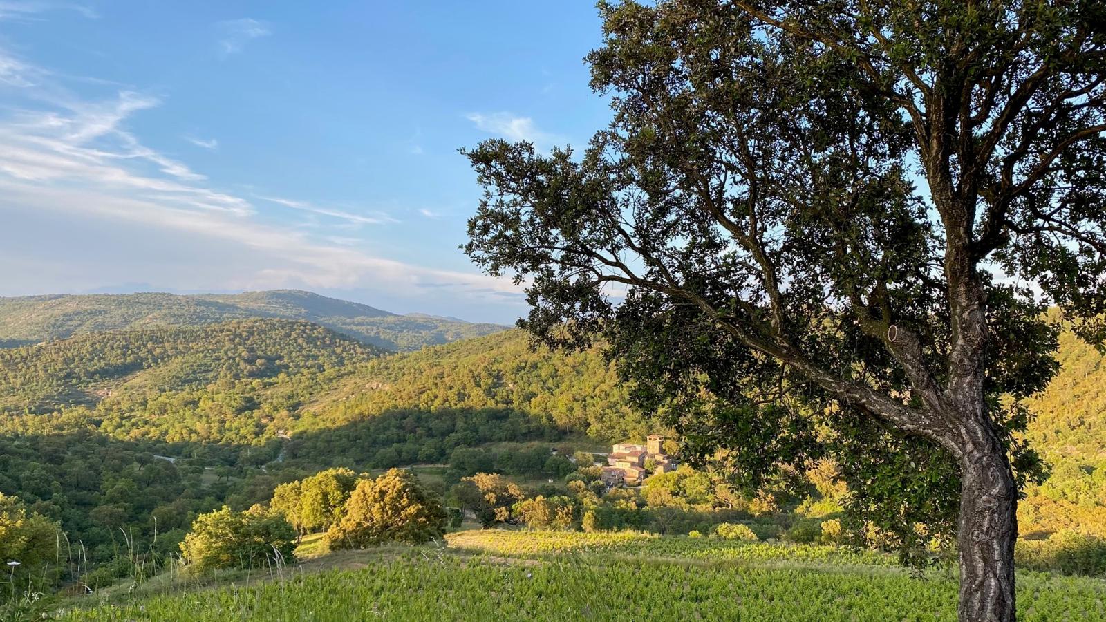 Les Roches du Sud-Areas within 1km in summer