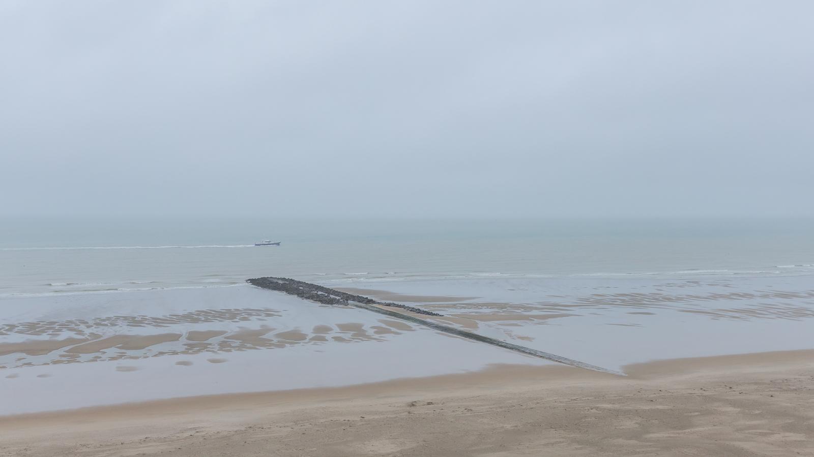 Sydney - 0605-Im Freien