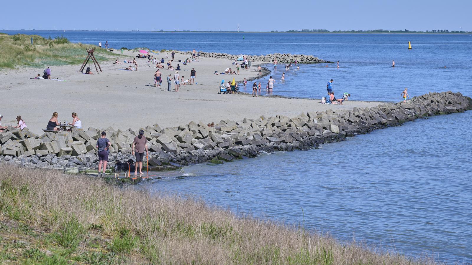 Scheldeoord 54 - Gebieden zomer 1km