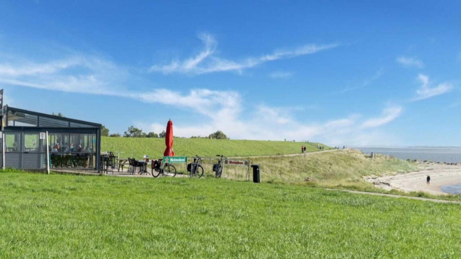 Scheldeoord 54-Gebieden zomer 1km