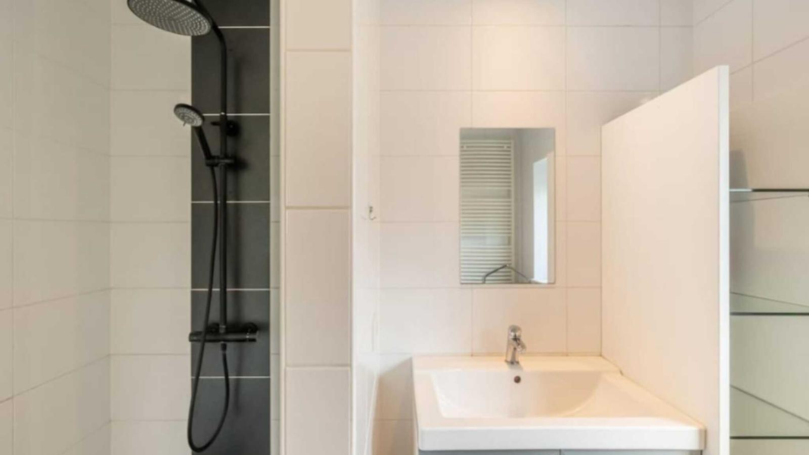 Scheldeoord 54-Badkamer