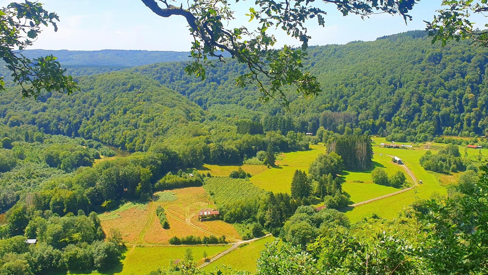 Le Jardin de Noémie - Gebieden zomer 5km
