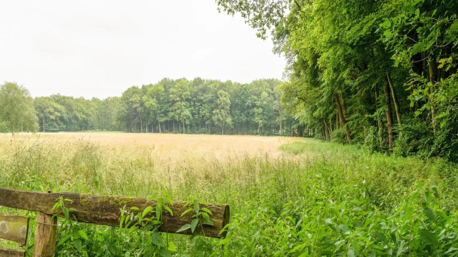 Wellnesshuisje Engelse Tuin-Areas within 1km in summer