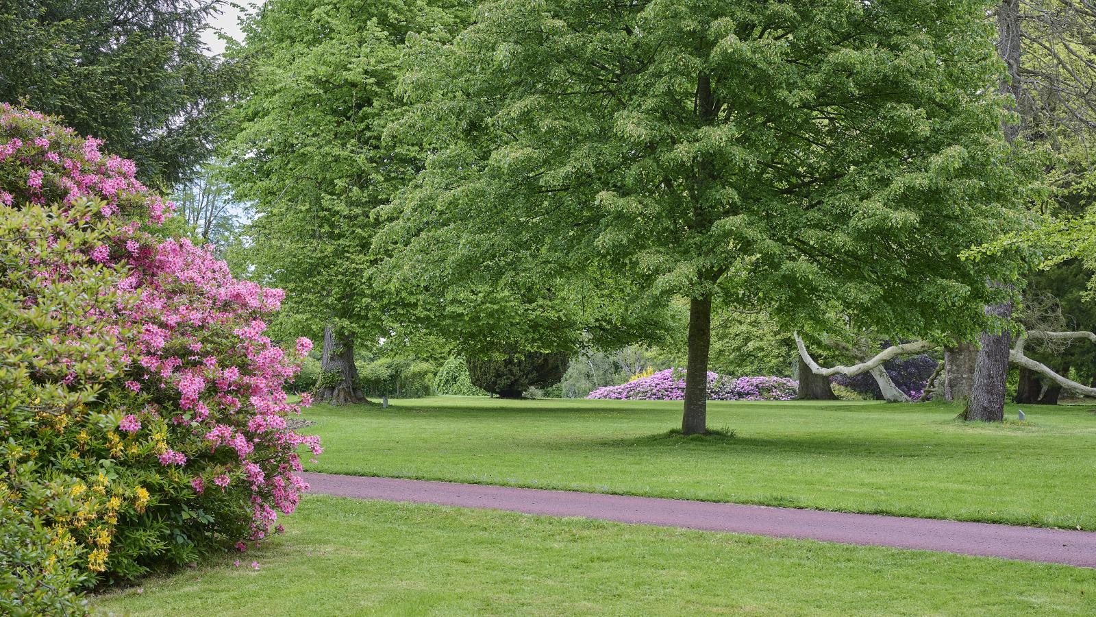 Wellnesshuisje Engelse Tuin - Gebieden zomer 1km