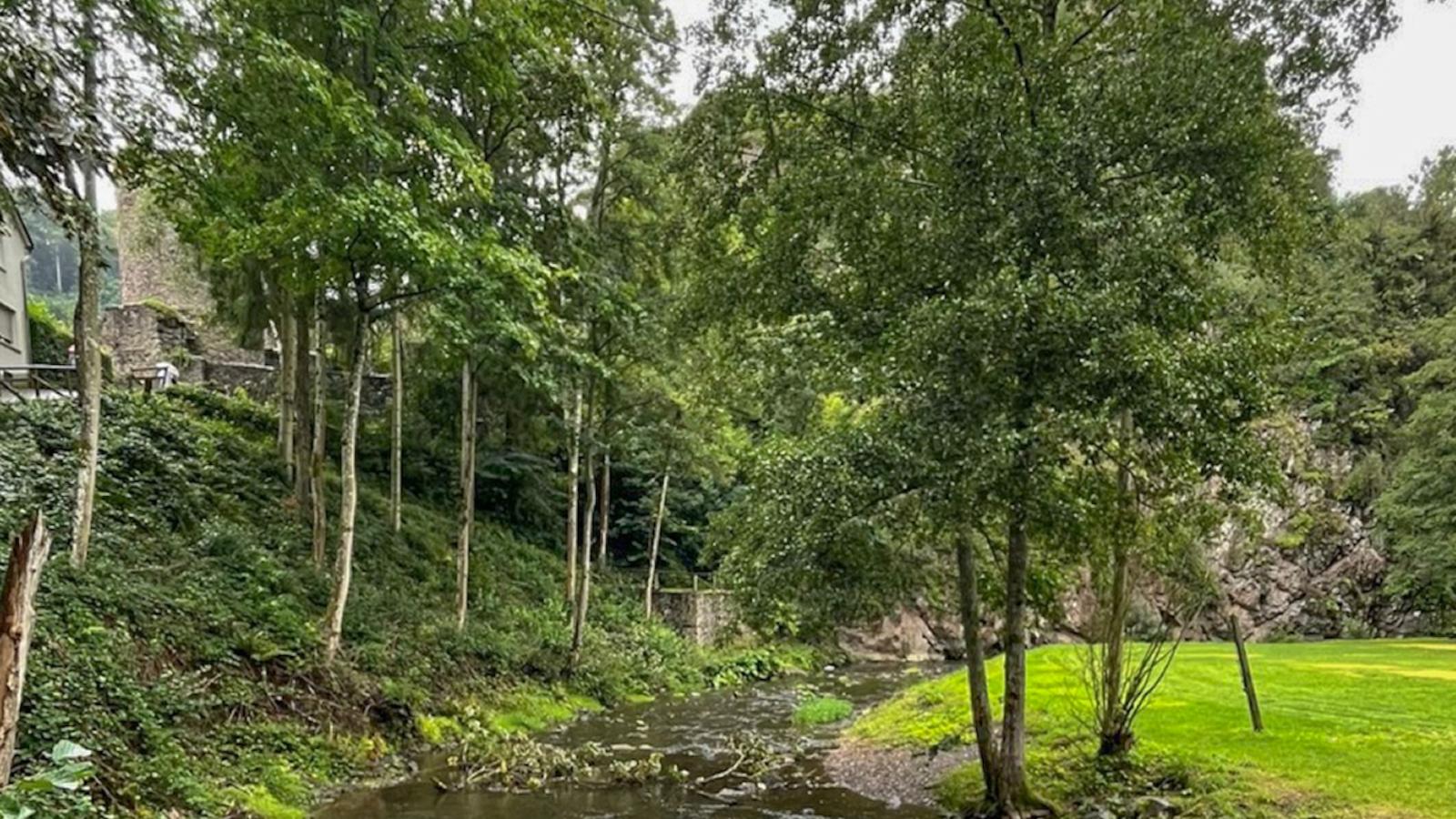 Manderscheid-Gebieden zomer 1km