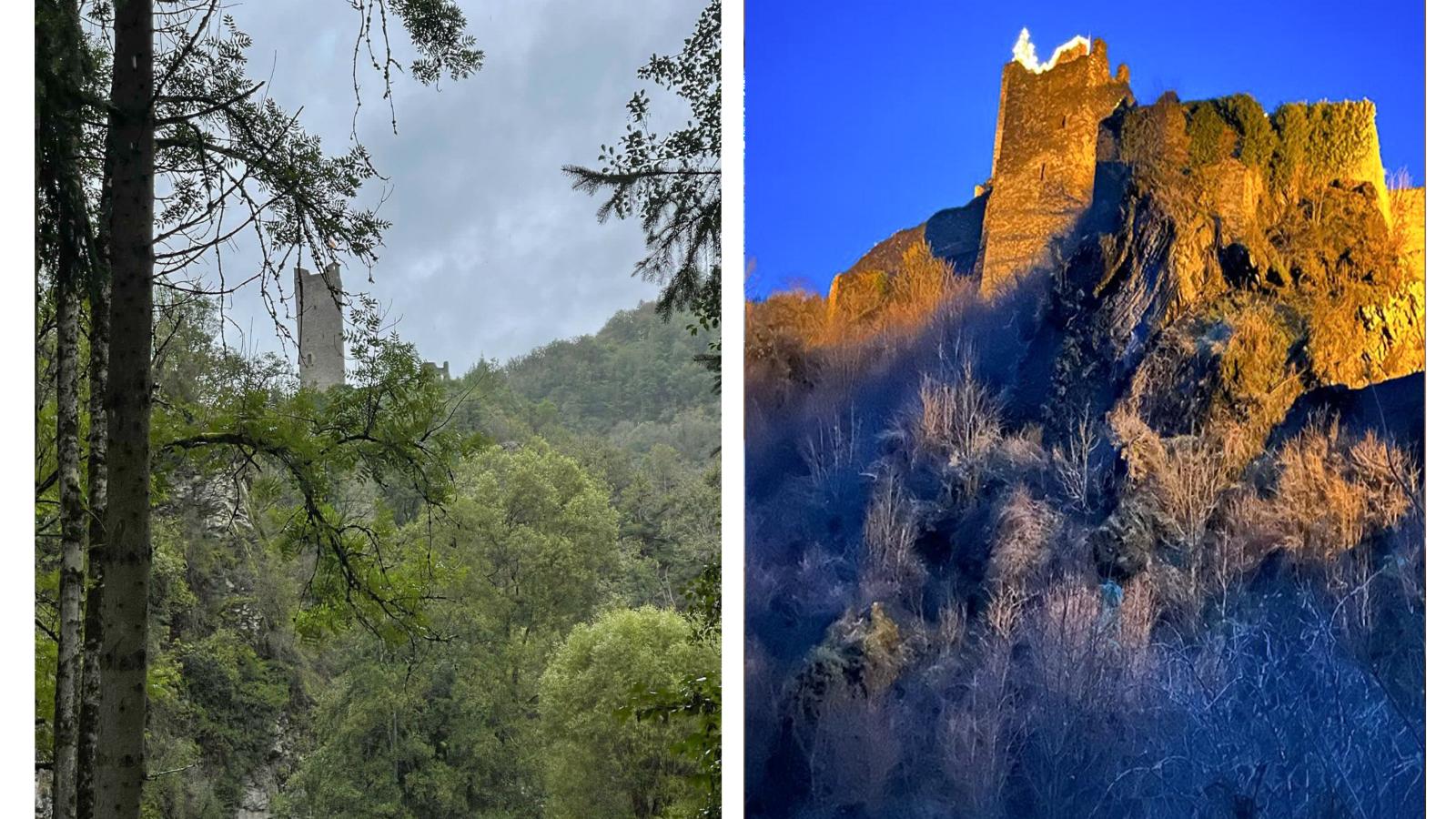Manderscheid-Gebieden zomer 1km