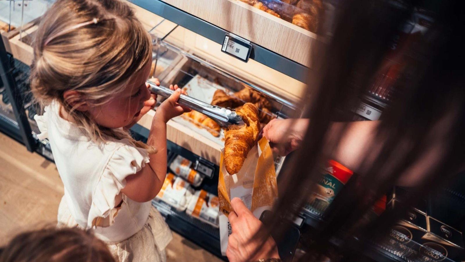 Timber-Lodge-Installations du parc