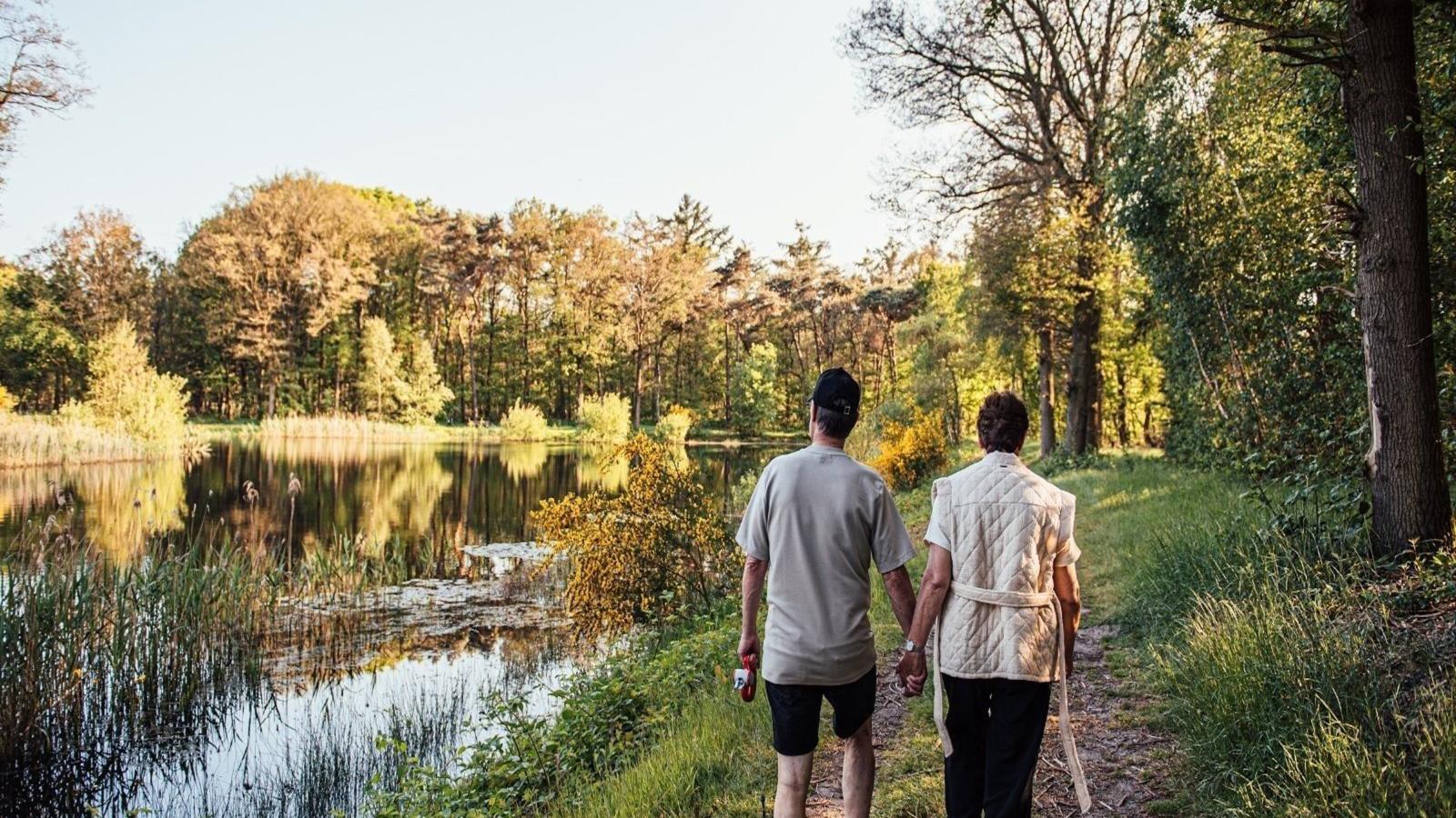 Timber-Lodge-Installations du parc