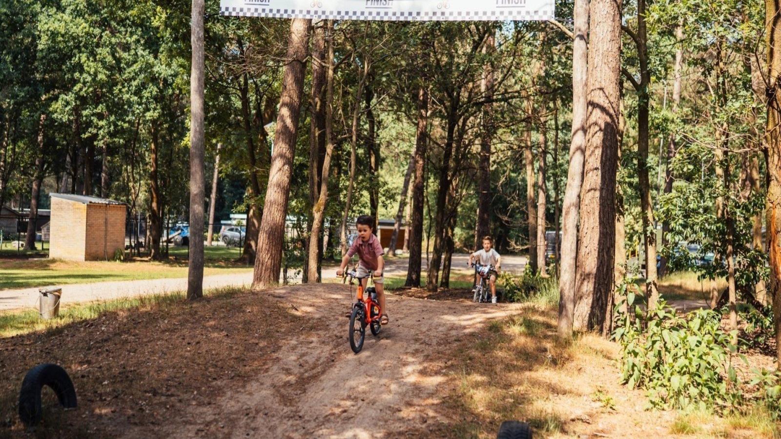 Timber-Lodge-Installations du parc