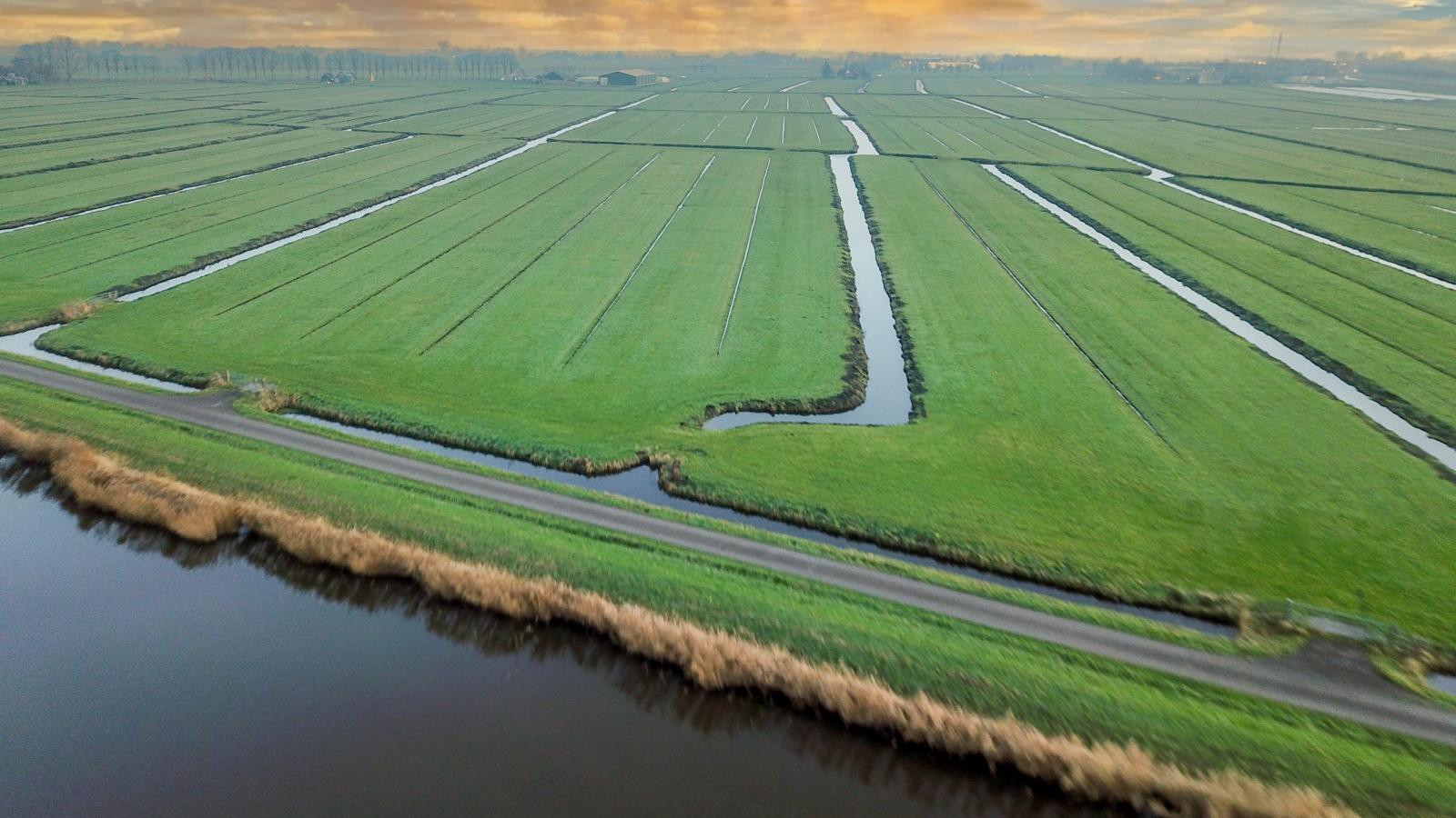 Beets View-Gebieden zomer 1km