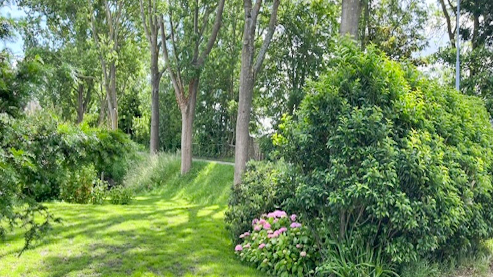 Beets View - Tuinen zomer