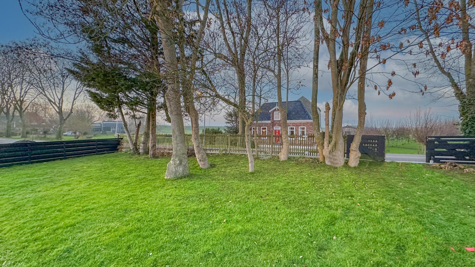 Beets View-Tuinen zomer