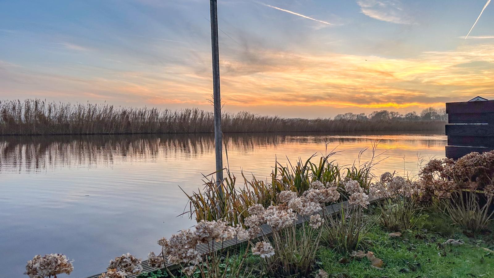Beets View-Uitzicht zomer