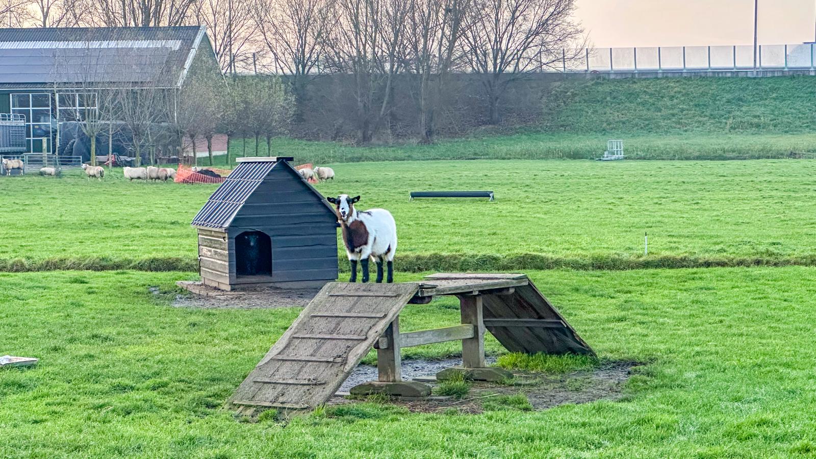 Beets View-Uitzicht winter