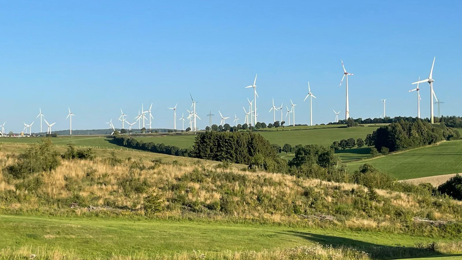 Veronica-Uitzicht zomer