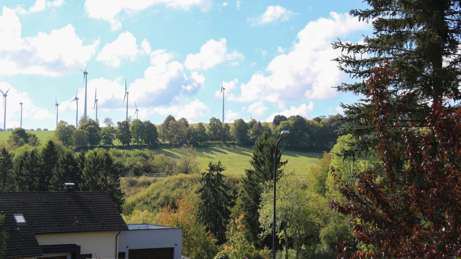 Veronica-Uitzicht zomer