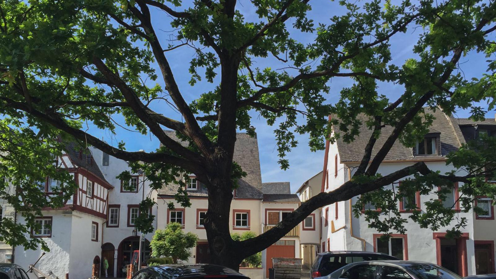 Quelle-Buitenkant zomer