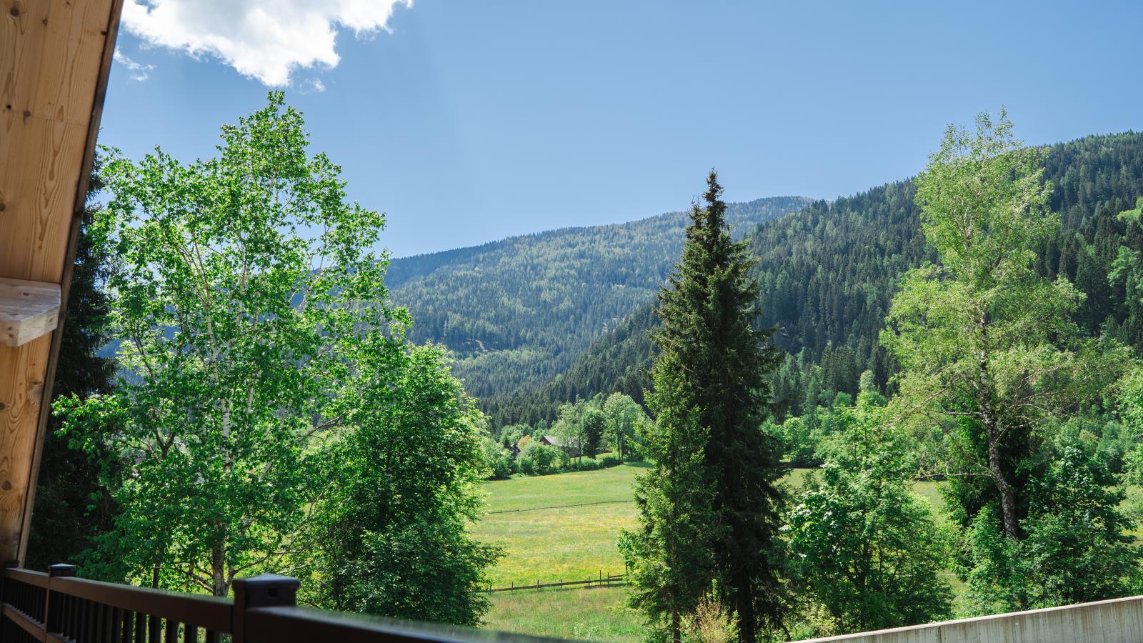 Afritz am See-Uitzicht zomer