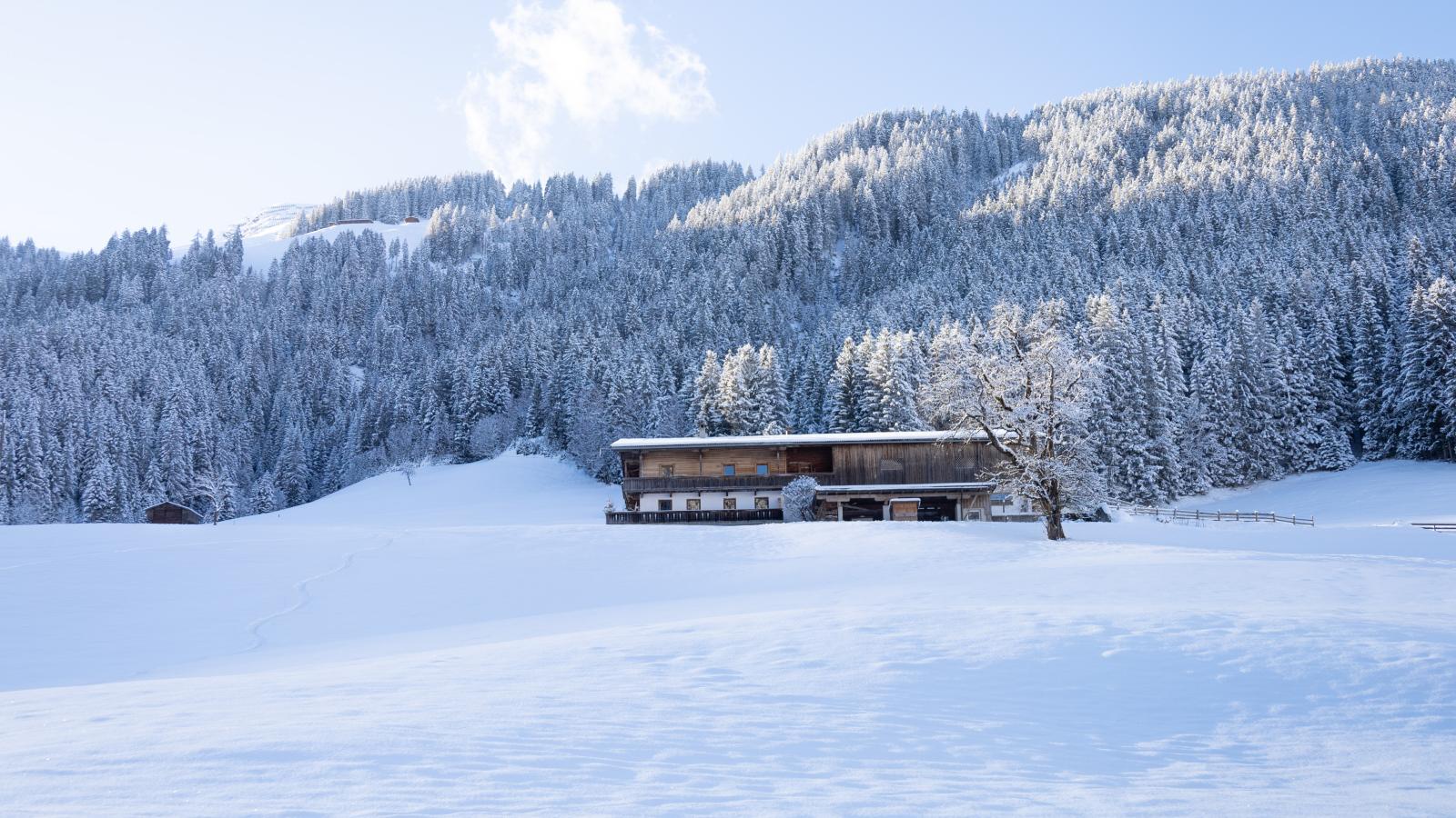 Hacklerhof Top 1-Exterieur winter