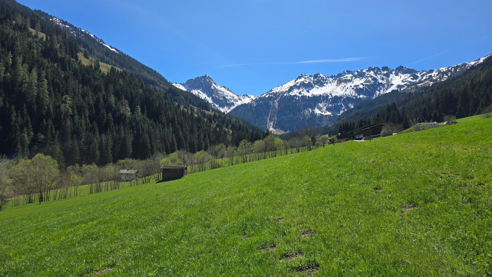 Hacklerhof Top 2 - Uitzicht zomer