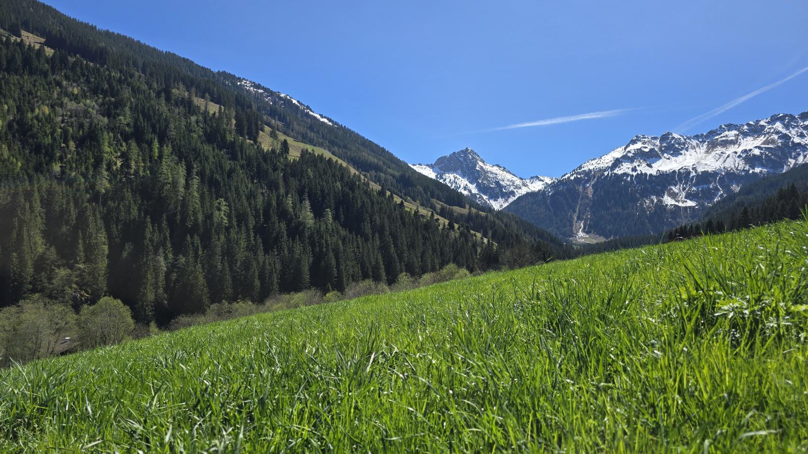 Hacklerhof Top 3 - Uitzicht zomer