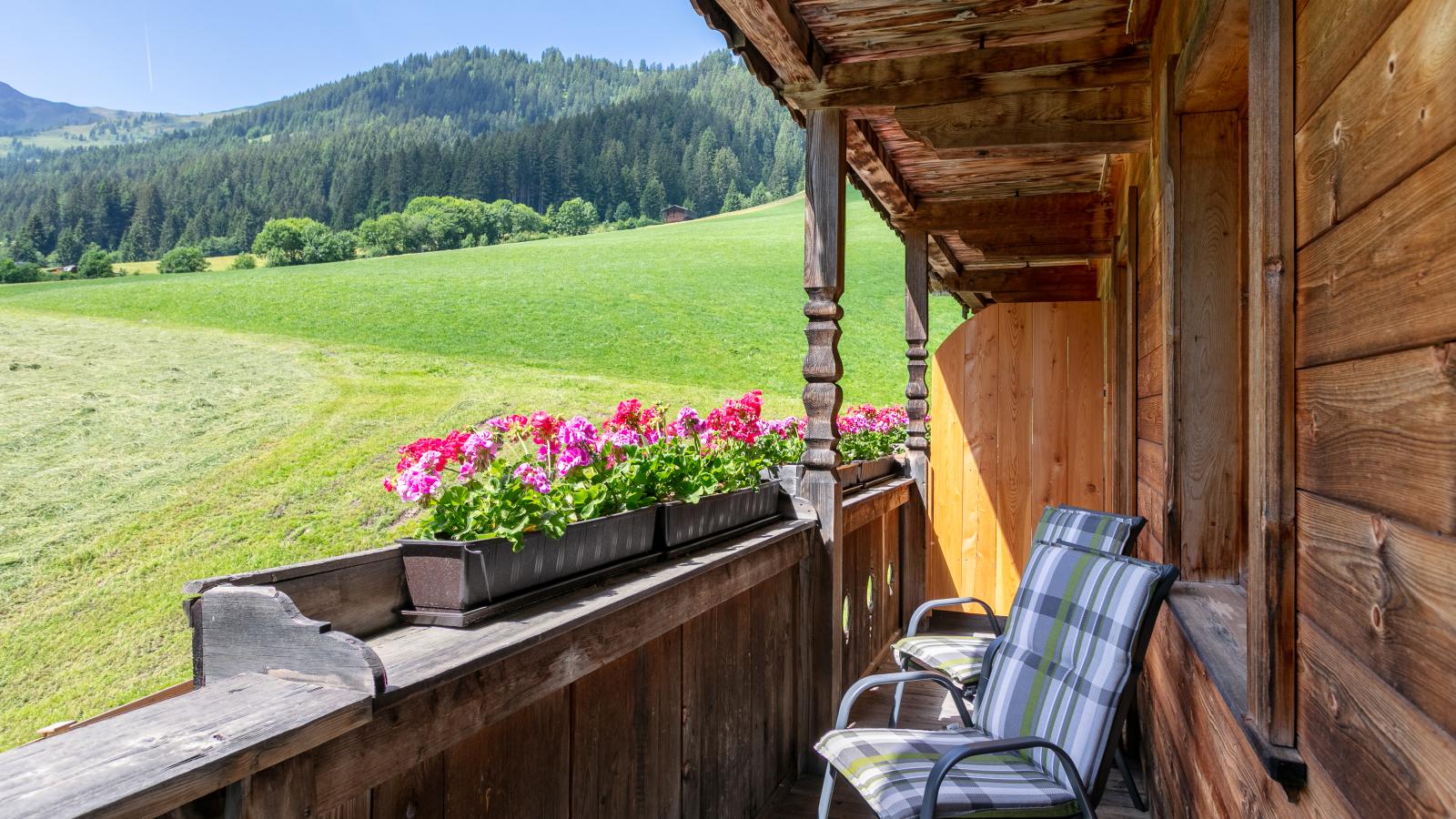 Hacklerhof Top 3 - Aussicht Sommer