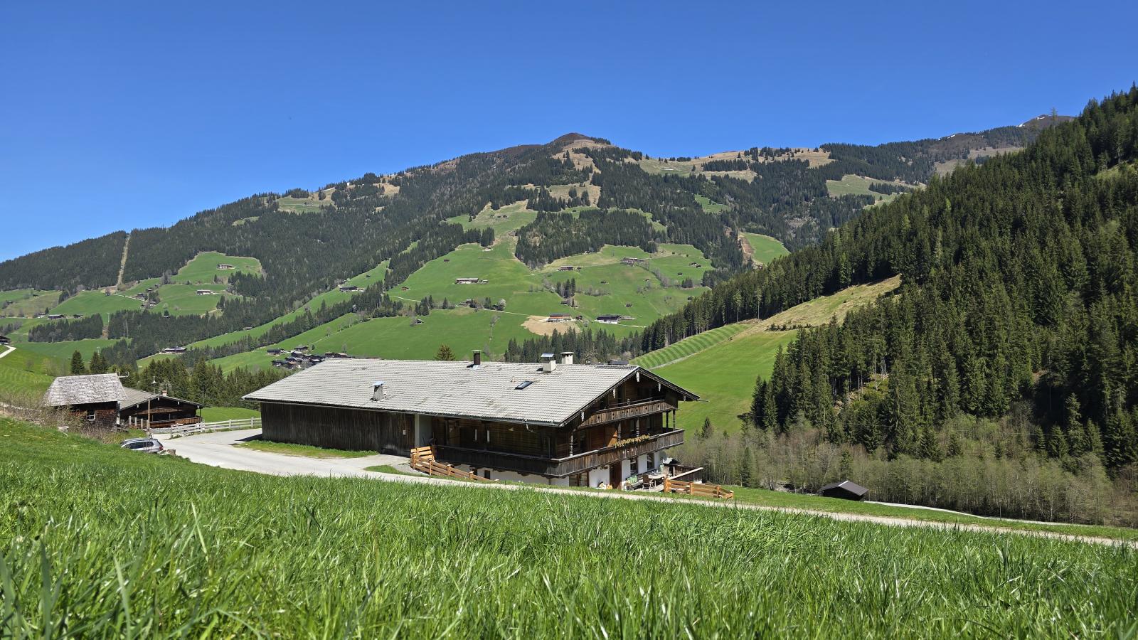 Hacklerhof Top 3 - Buitenkant zomer