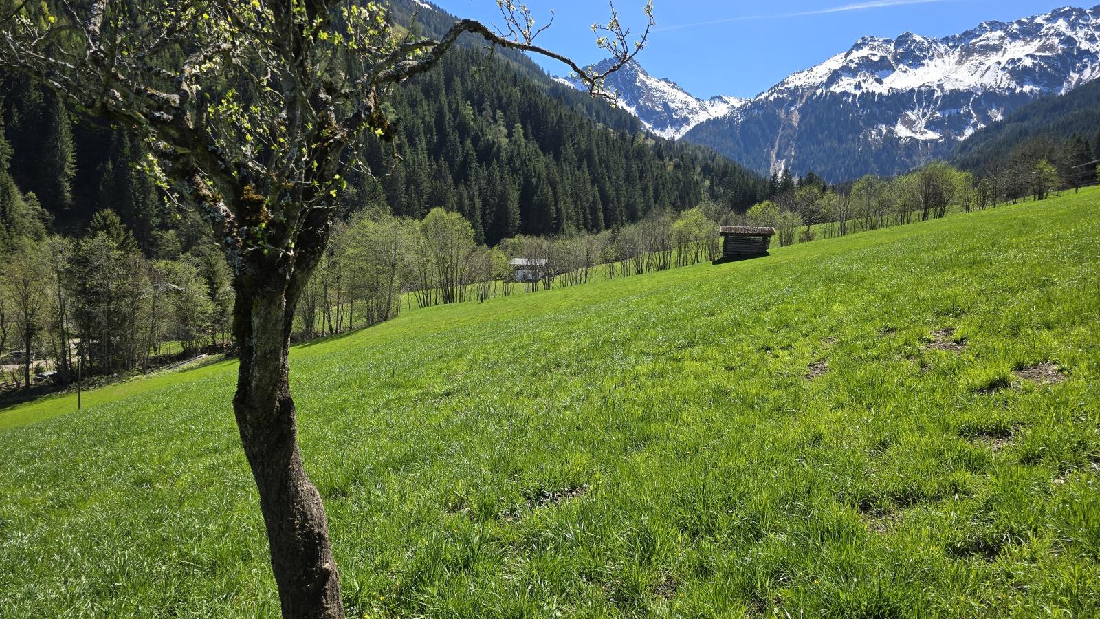 Hacklerhof Top 3 - Uitzicht zomer