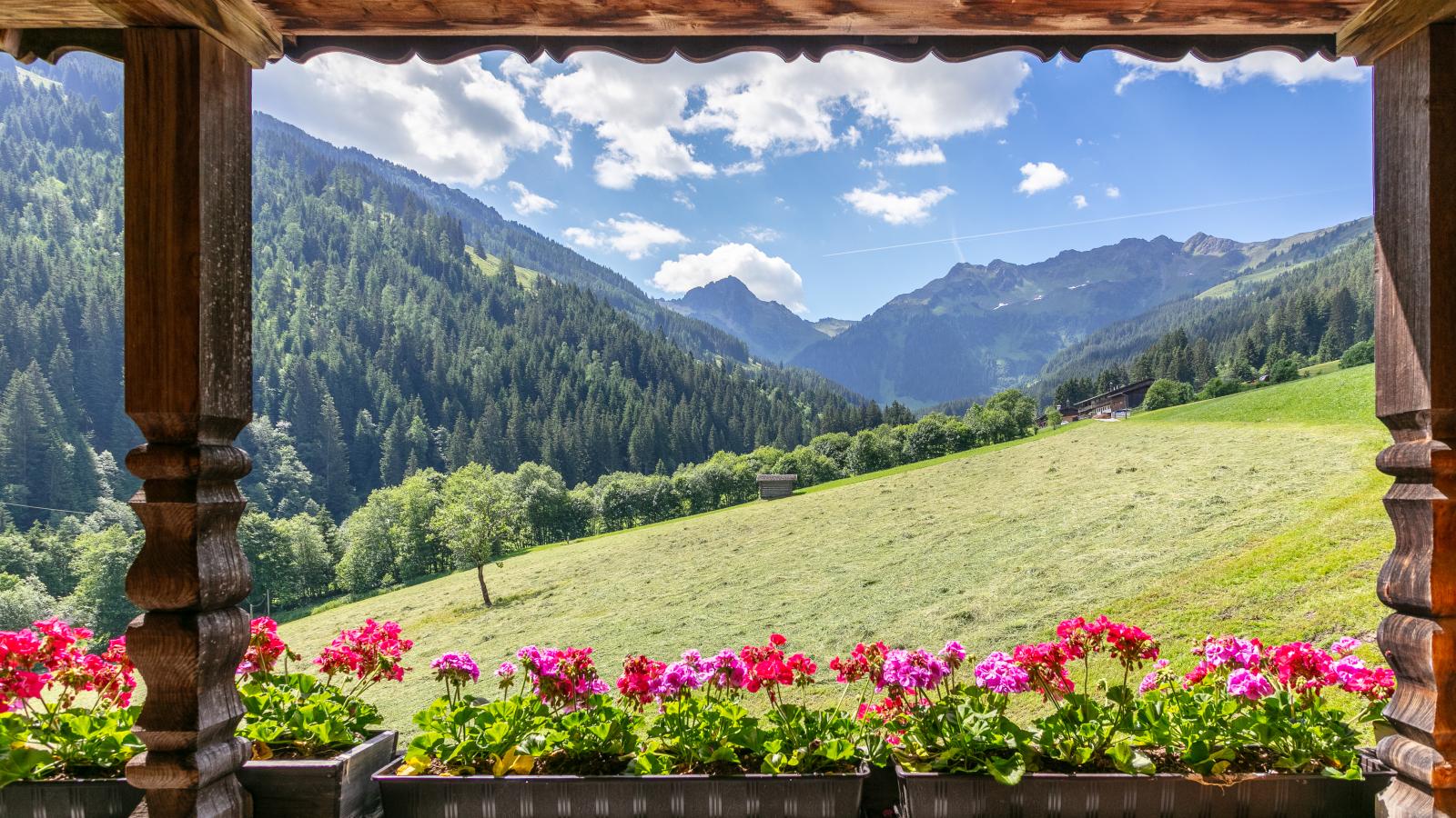 Hacklerhof Top 3 - Aussicht Sommer