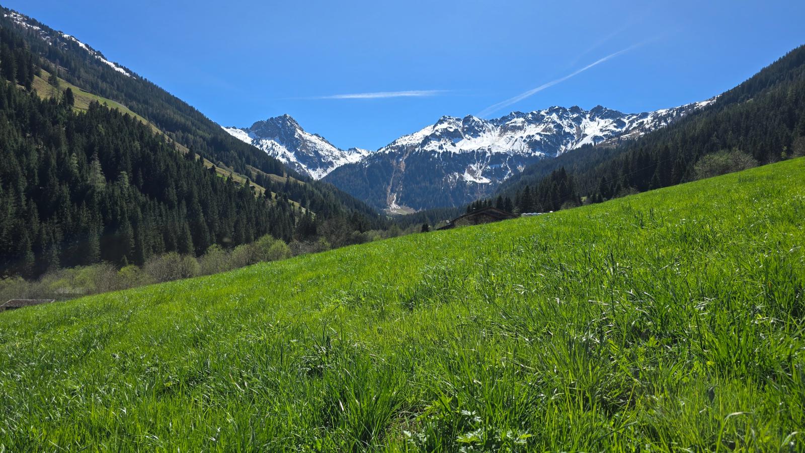 Hacklerhof Top 2 und 3 - Uitzicht zomer