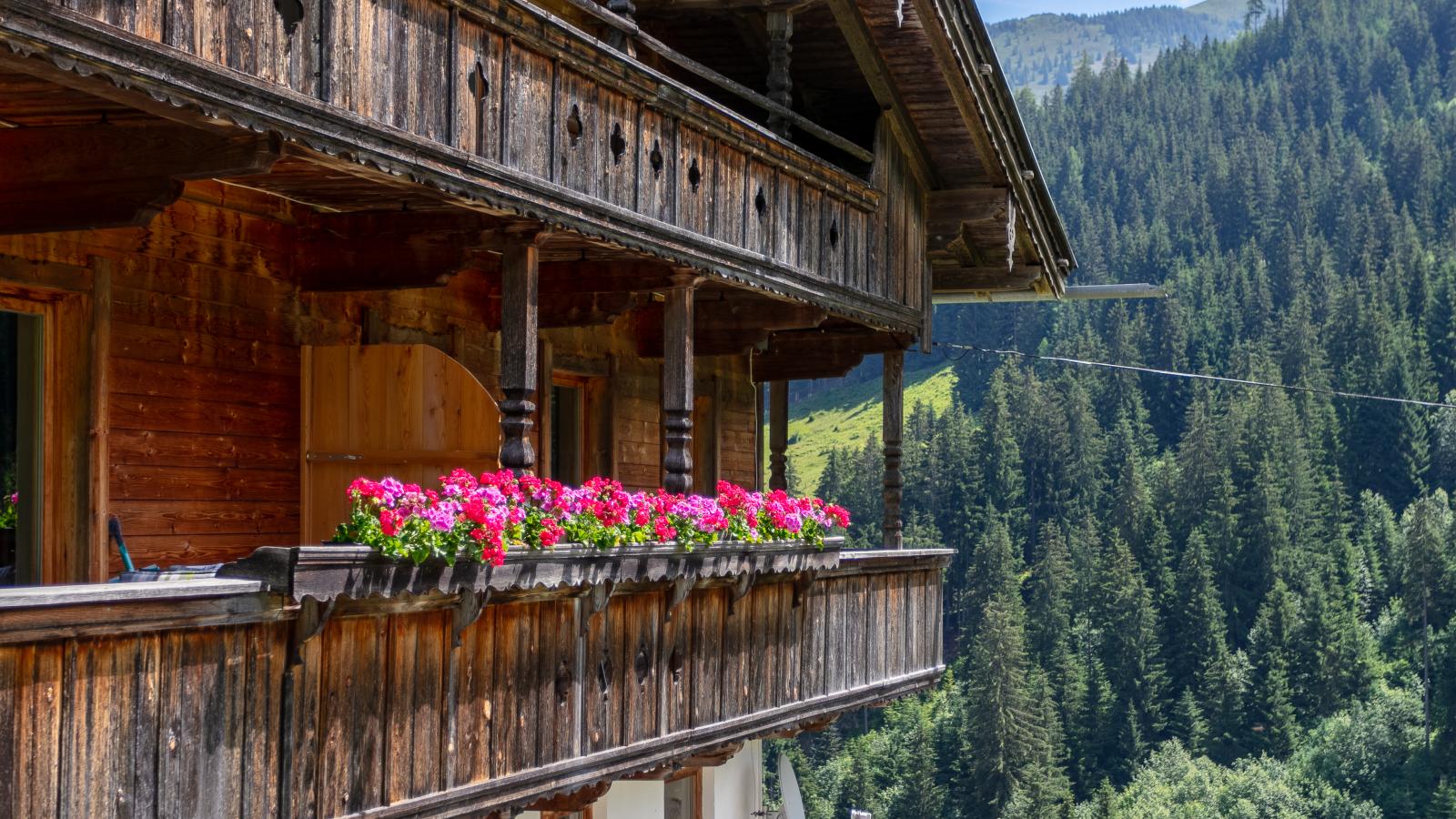 Hacklerhof Top 2 und 3 - Außenbereich Sommer